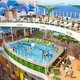 Der Coconut Cove Pool