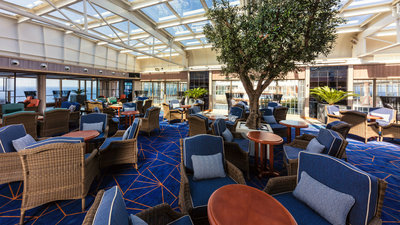 Winter Garden
